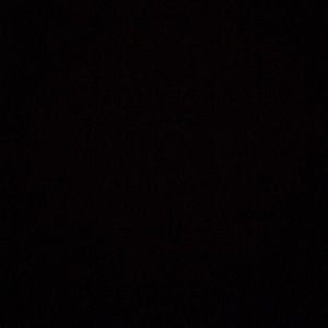 Meet your Posher, Daisy